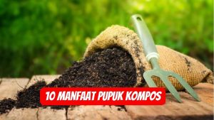 Manfaat Pupuk Kompos yang Jarang Diketahui dan Perlu Anda Ketahui