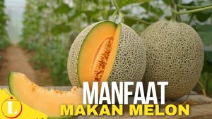 Manfaat Makan Melon yang Jarang Diketahui, Bisa Bikin Melongo!