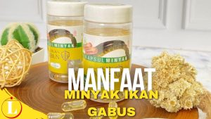 Temukan Khasiat Minyak Ikan Gabus yang Jarang Diketahui