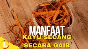 Temukan Manfaat Kayu Secang Secara Gaib, Dijamin Tercengang!