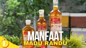 Ungkap 5 Manfaat Madu Randu yang Jarang Diketahui!