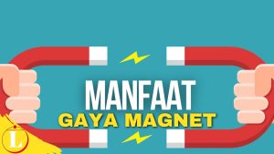 Temukan Rahasia Manfaat Gaya Magnet yang Jarang Diketahui