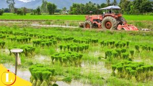 Tips Mengoptimalkan Manfaat Biologi di Bidang Pertanian