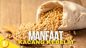 Temukan Manfaat Mengejutkan Kacang Kedelai yang Jarang Diketahui