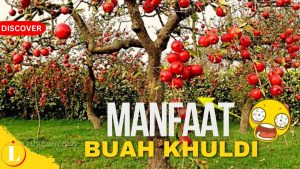 Temukan Manfaat Buah Khuldi yang Jarang Diketahui!