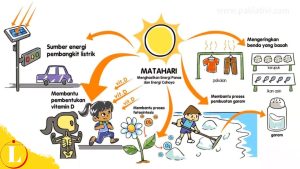 Tips Memanfaatkan Energi Matahari bagi Makhluk Hidup