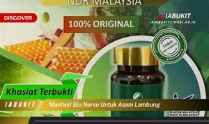 Temukan Manfaat Bio Nerve untuk Asam Lambung yang Jarang Diketahui