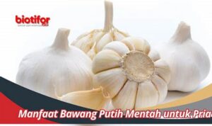 Temukan Manfaat Bawang Putih Mentah untuk Pria yang Jarang Diketahui