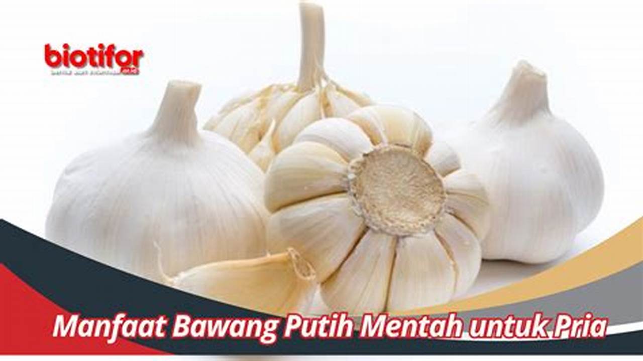 Temukan Manfaat Bawang Putih Mentah untuk Pria yang Jarang Diketahui