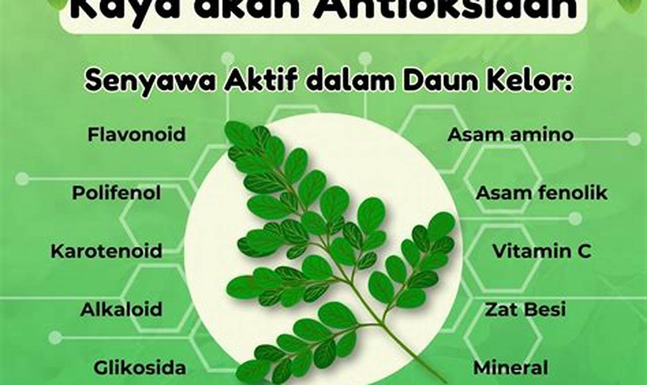 Temukan 10 Manfaat Daun Kelor yang Jarang Diketahui