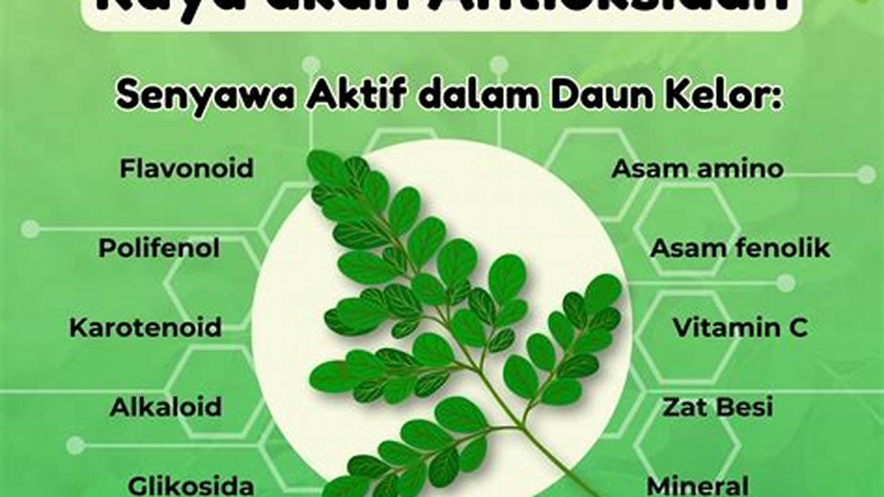 Temukan 10 Manfaat Daun Kelor yang Jarang Diketahui